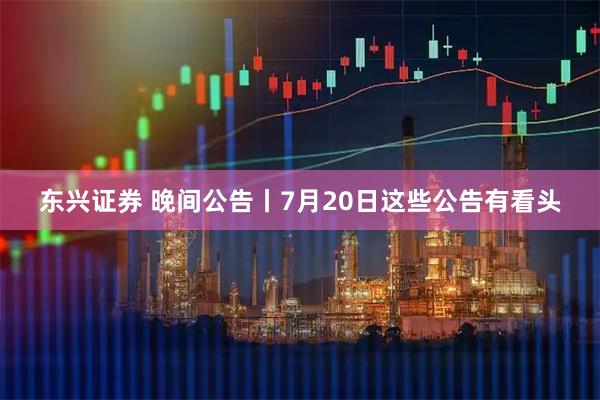 东兴证券 晚间公告丨7月20日这些公告有看头
