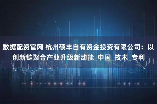 数据配资官网 杭州硕丰自有资金投资有限公司：以创新链聚合产业升级新动能_中国_技术_专利
